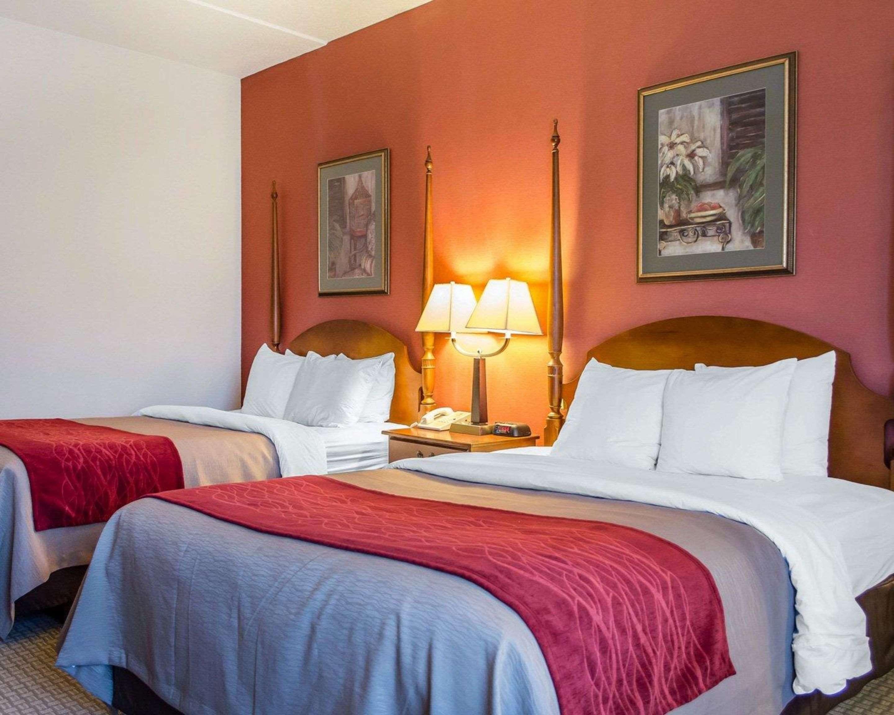 Comfort Inn&Suites York Eksteriør bilde