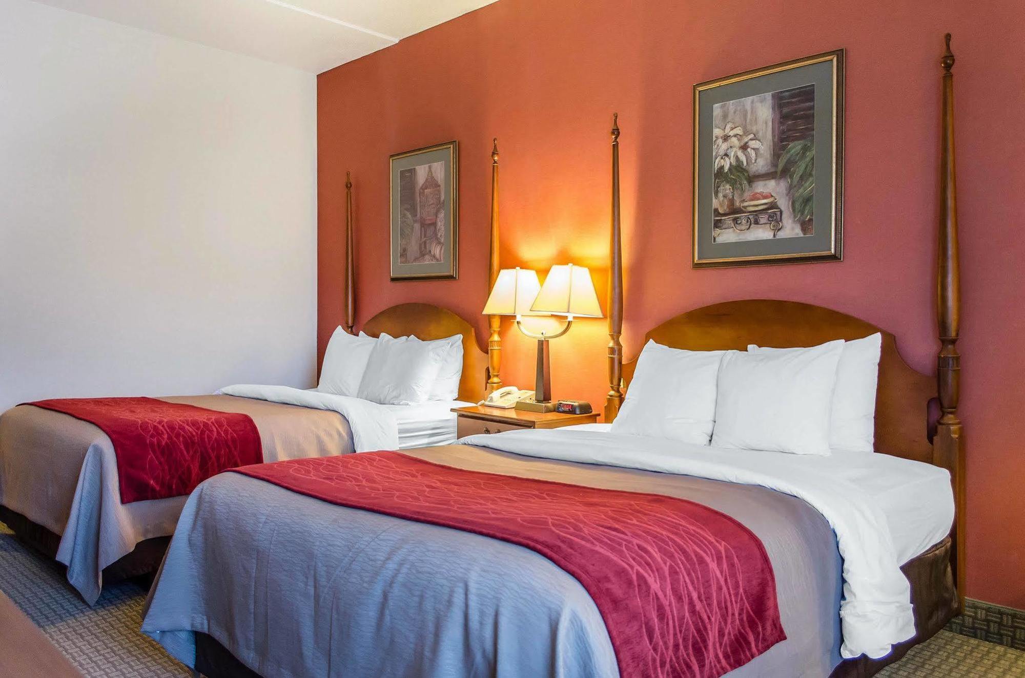 Comfort Inn&Suites York Eksteriør bilde